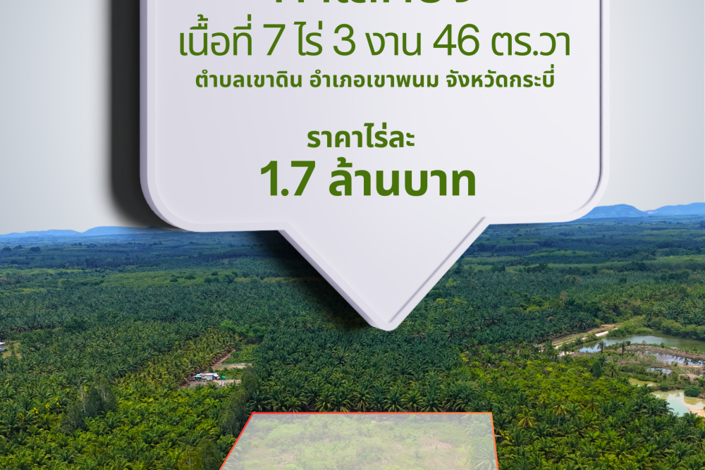 Green White and Grey Modern Real Estate Plot Listing Instagram Post (โปสเตอร์)