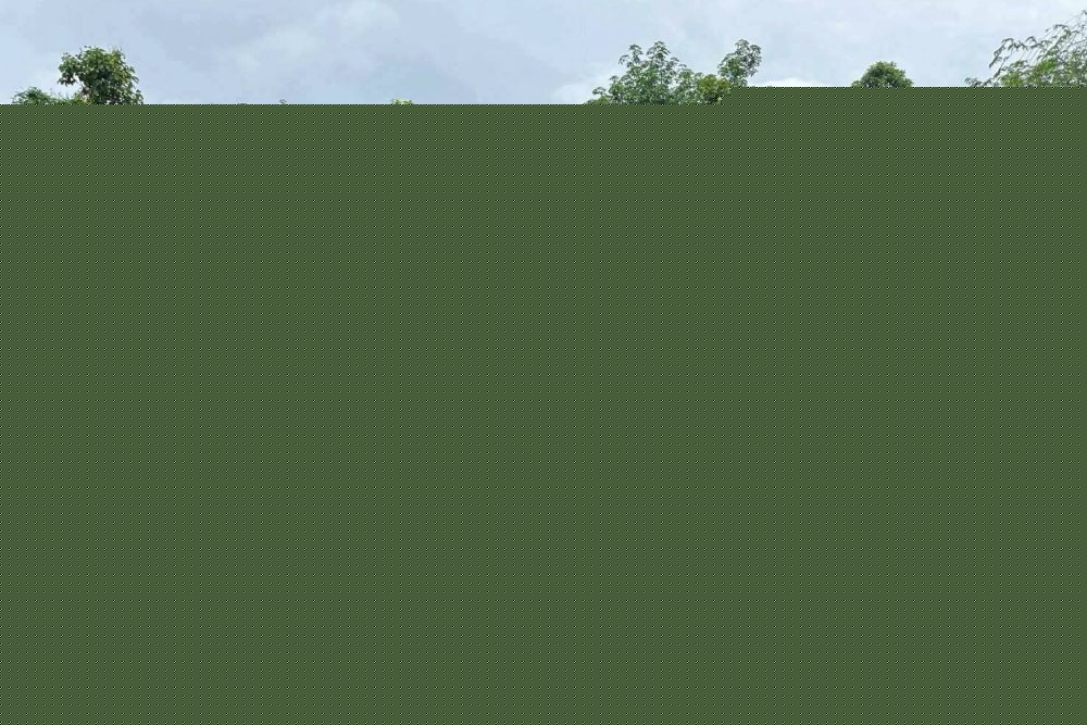 LINE_NOTE_250917_6