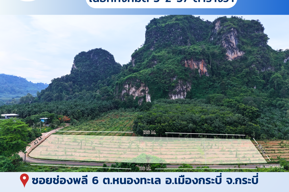 ขายที่ดินโพสต์เฟสบุ๊ค (1)